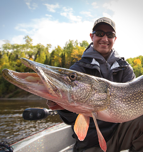 LAKE NIPIGON – PIKE