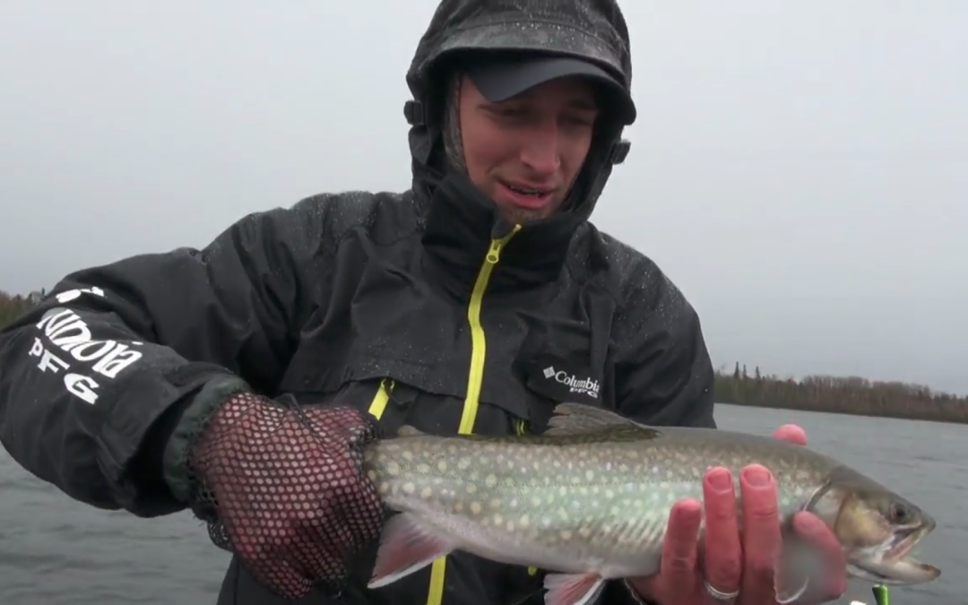 Fishing 411 Nipigon Brookies Video
