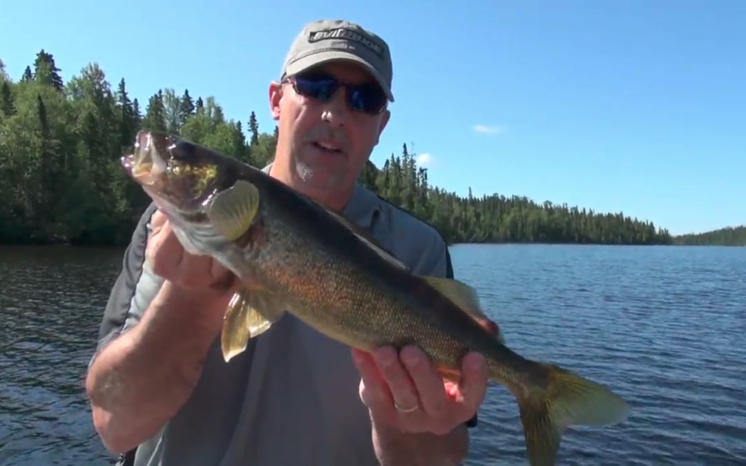 Fishing 411 Pasha Blues Video