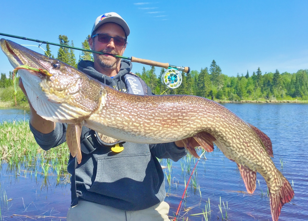 WALLEYE POINT OUTFITTER